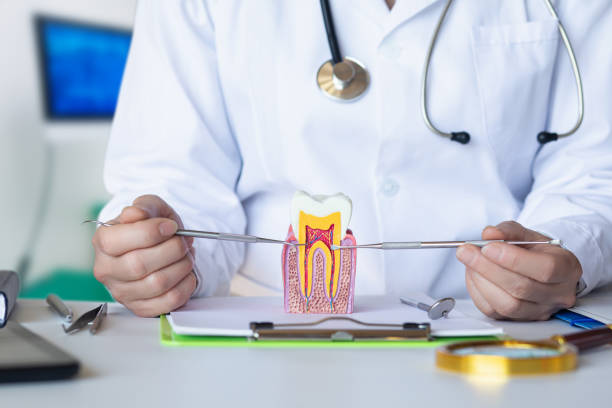 Best Urgent Dental Care for Toothache in Algood, TN